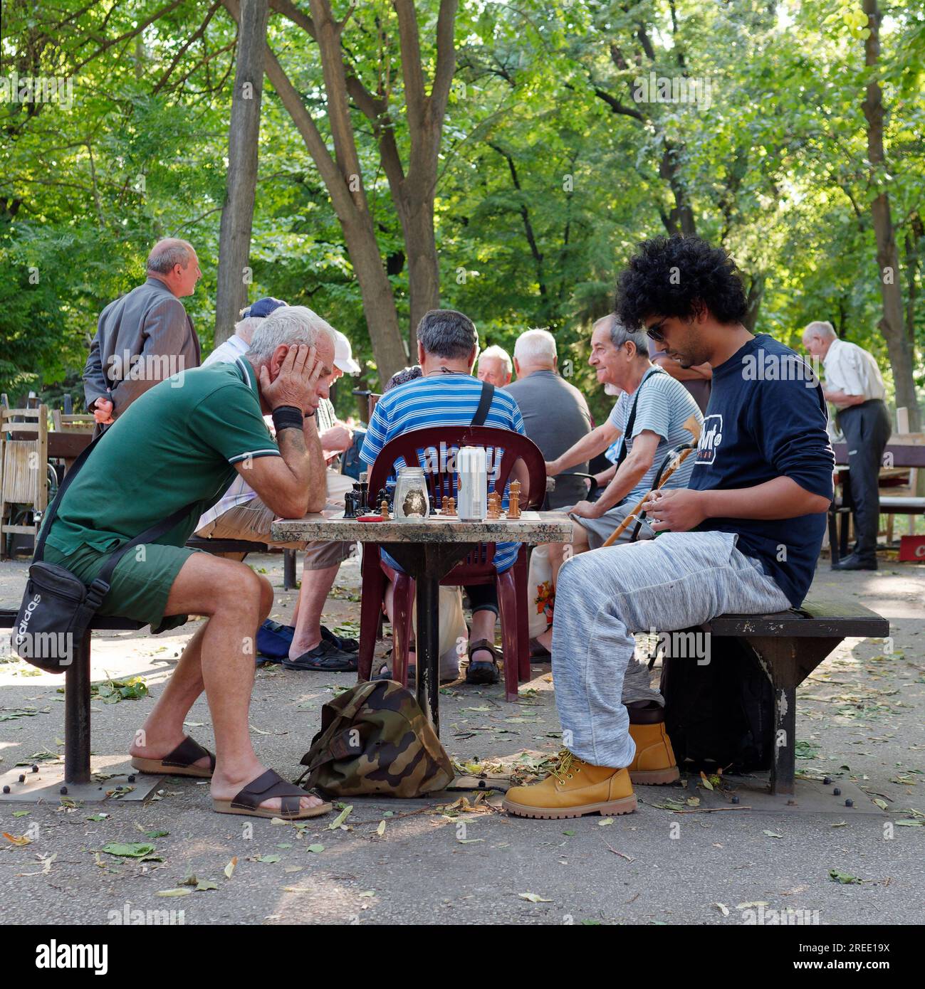 Menschen, die sich treffen und Schach spielen, an einem Sommerabend in einem Park im Zentrum von Plovdiw, Bulgarien Stockfoto