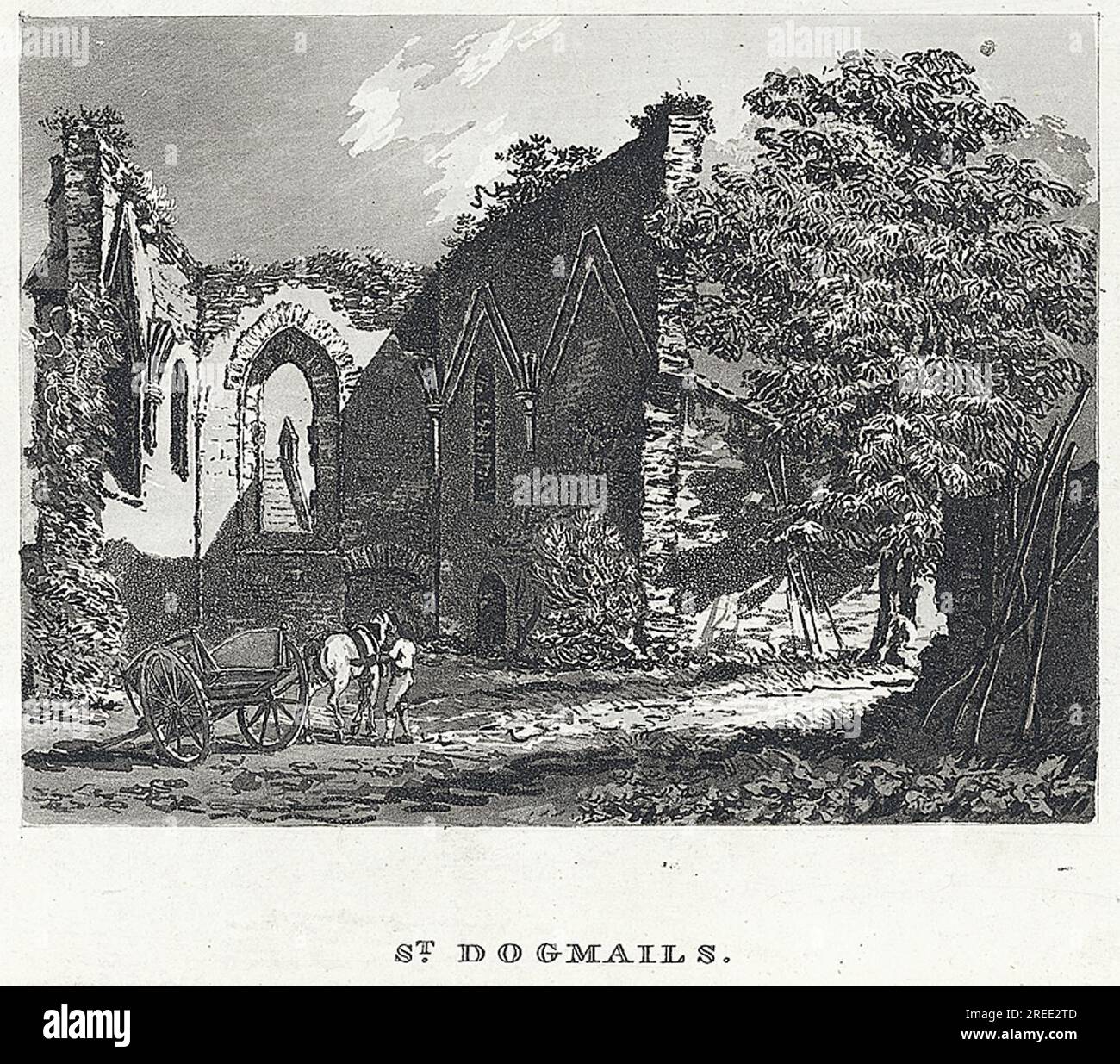 St. Hundemails um 1793 von John Hassell Stockfoto