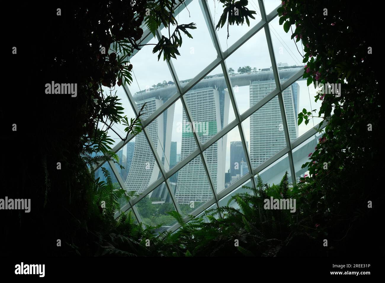 Marina Bay Sands Casino vom Cloud Forest in Singapurs Gardens by the Bay aus gesehen Stockfoto