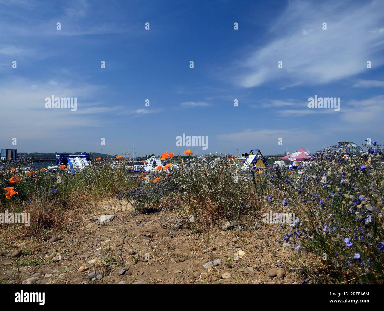 Cardiff Bay und Aqua Park Juli 2023. Stockfoto