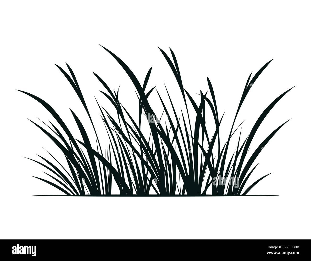 Panorama-Grassilhouette für Design isoliert auf weißem Hintergrund. Stock Vektor