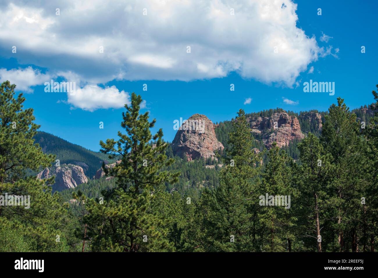 Der Staunton State Park in Colorado bietet ein Track Chair Program, das behinderten Menschen die Möglichkeit gibt, die Wanderwege in diesem Teil der Rocky Mountains zu nutzen. Stockfoto