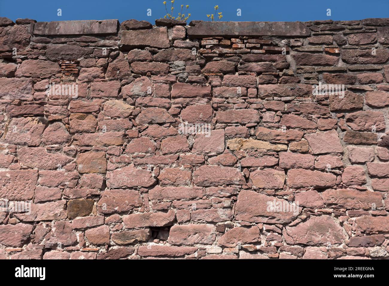 Alte Mauer aus natürlichen Sandsteinen, Baden-Württemberg, Deutschland Stockfoto