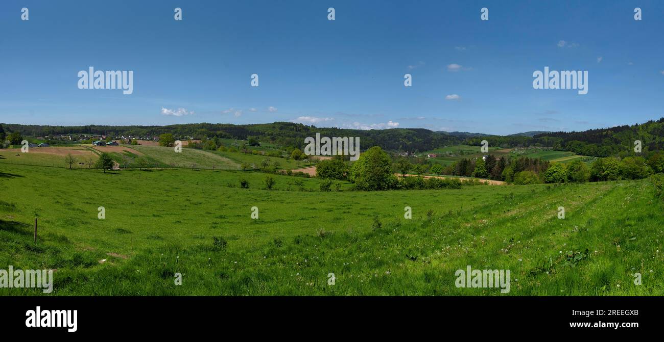 Landschaft mit Obstgarten im Schwarzwald bei Emmendingen, Baden-Württemberg, Deutschland Stockfoto