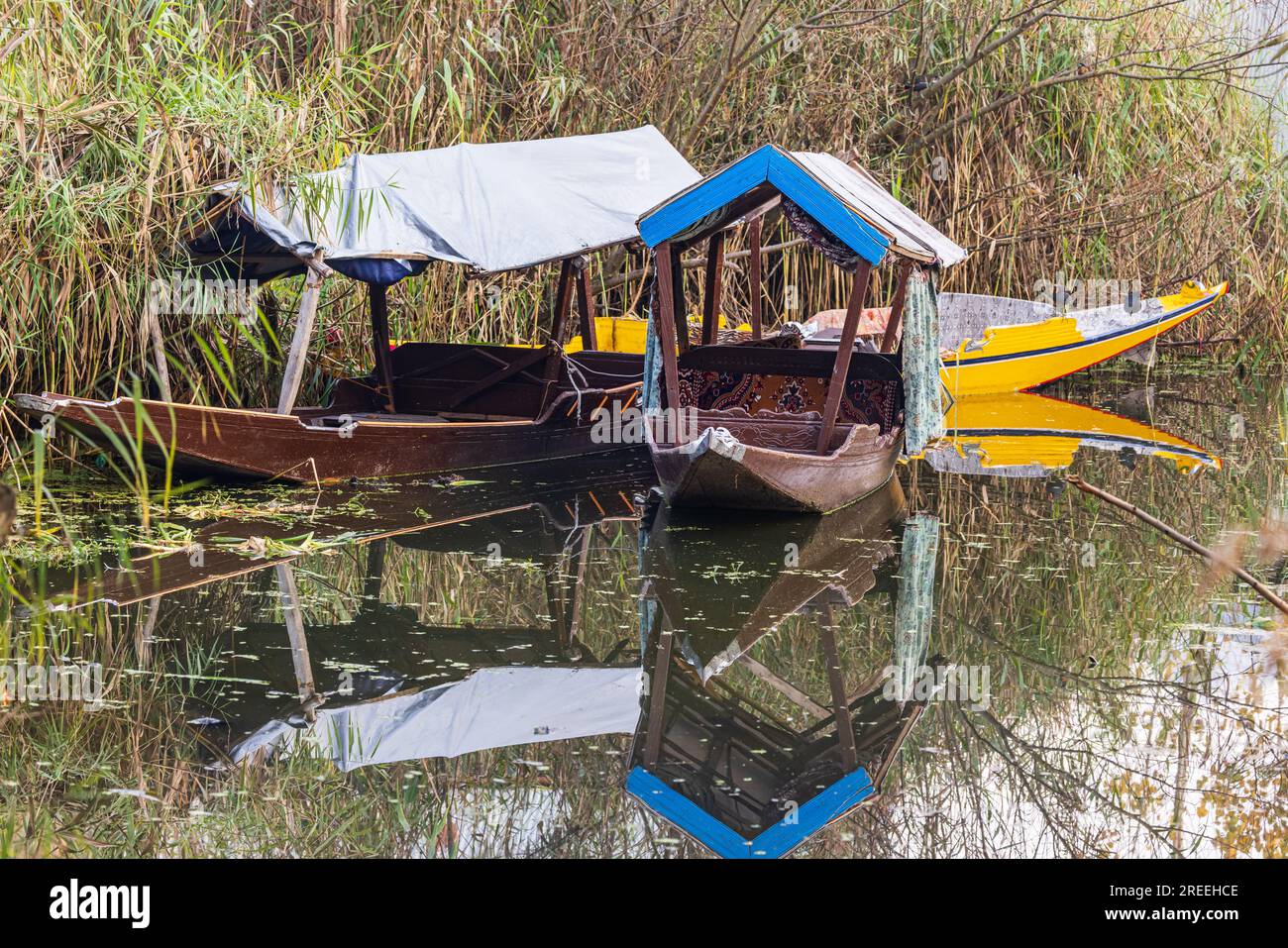 Rainawari, Srinagar, Jammu und Kaschmir, Indien. Traditionelle Shikara-Boote am Dal Lake. Stockfoto