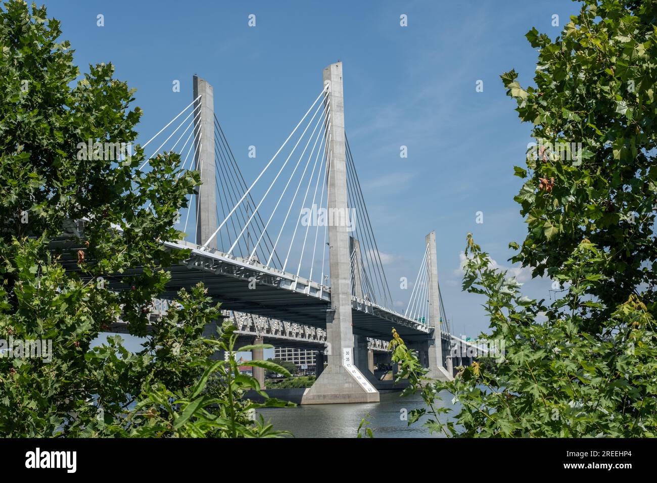 Die Abraham Lincoln Bridge über den Ohio River in Louisville, Kentucky, USA, führt tagsüber durch Bäume Stockfoto