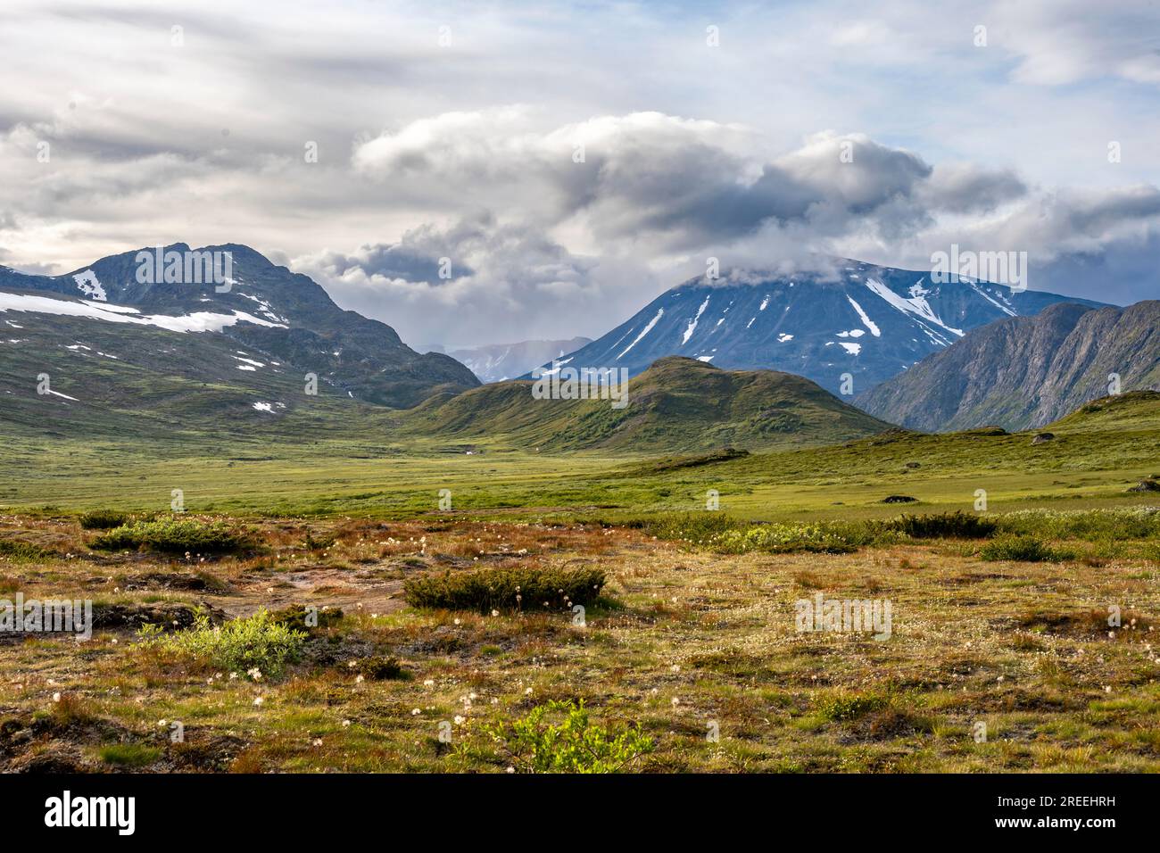 Karge Berglandschaft, Knutshoe Mountain, Fjell, Oystre Slidre, Jotunheimen National Park, Norwegen Stockfoto