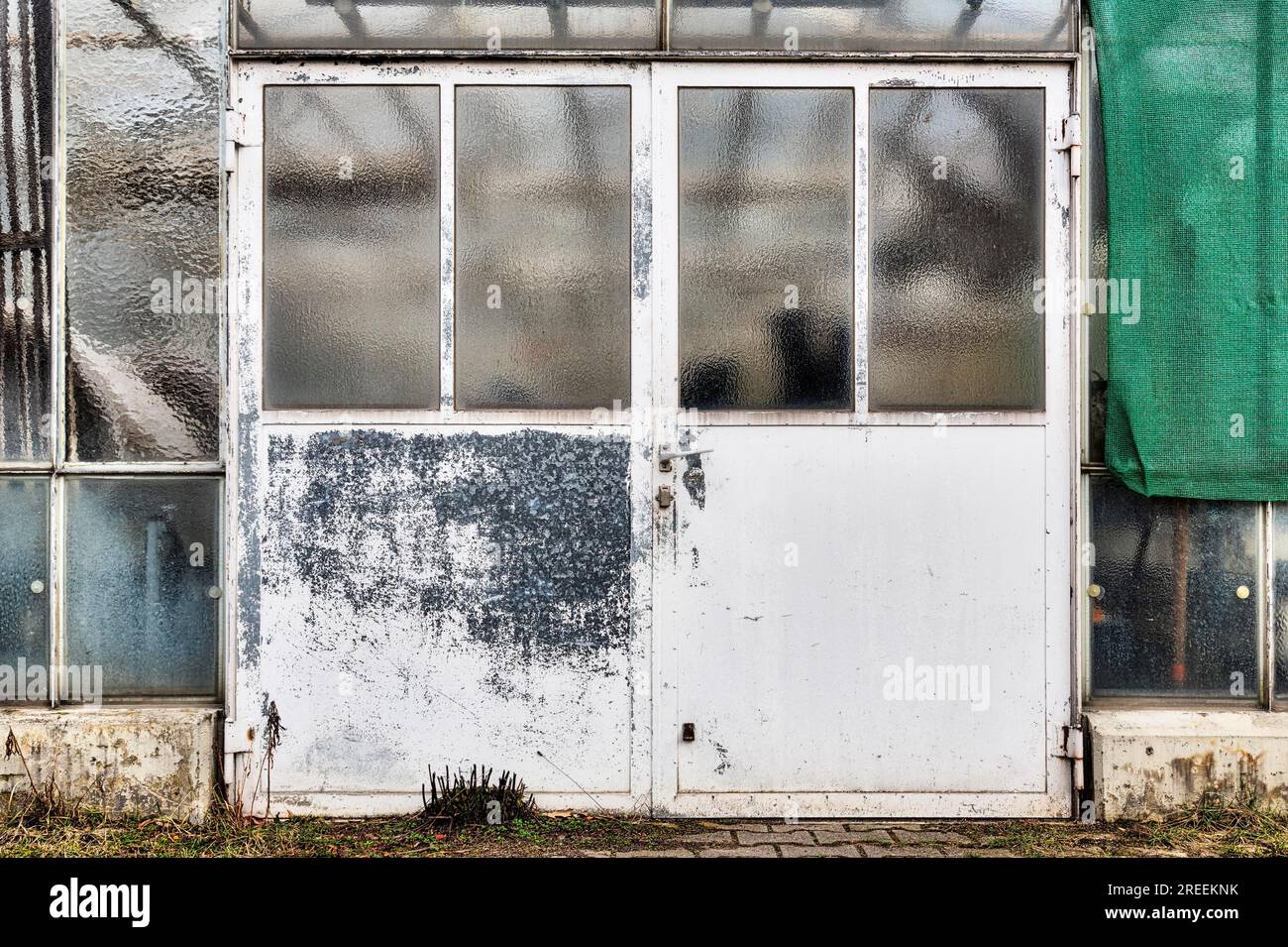 Alte, schäbige Metalltür eines Glashauses Stockfoto