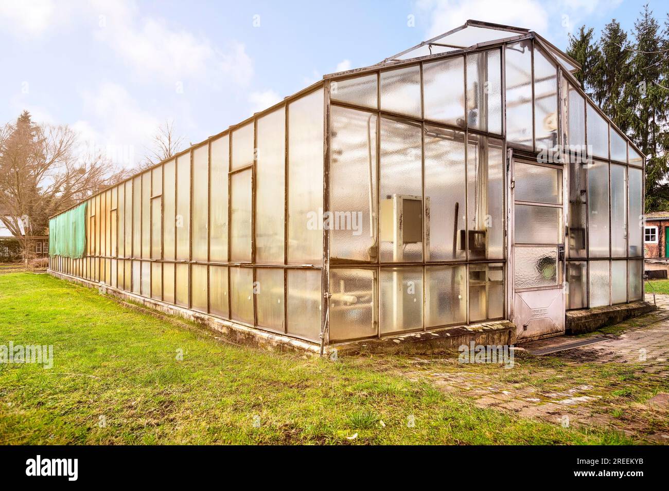 Altes, grungy Glashaus in einem Garten Stockfoto