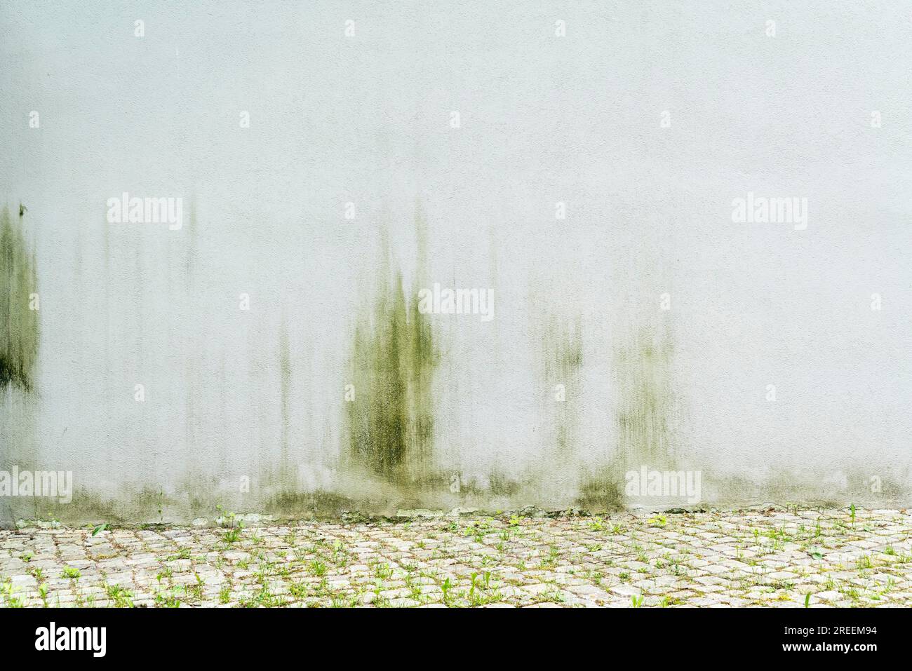 Einfache weiße, verwitterte Wand für Hintergründe Stockfoto