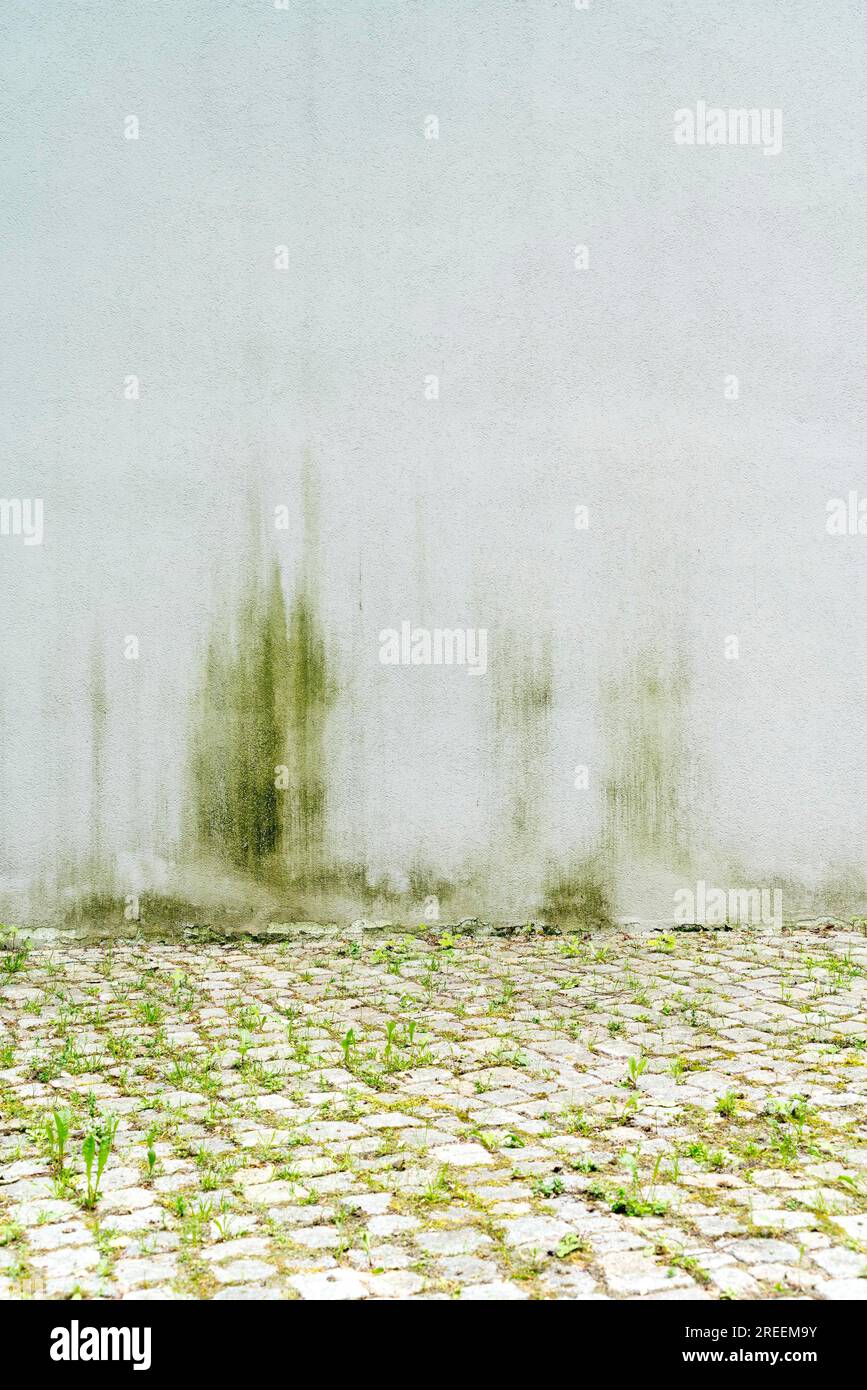 Einfache weiße, verwitterte Wand für Hintergründe Stockfoto