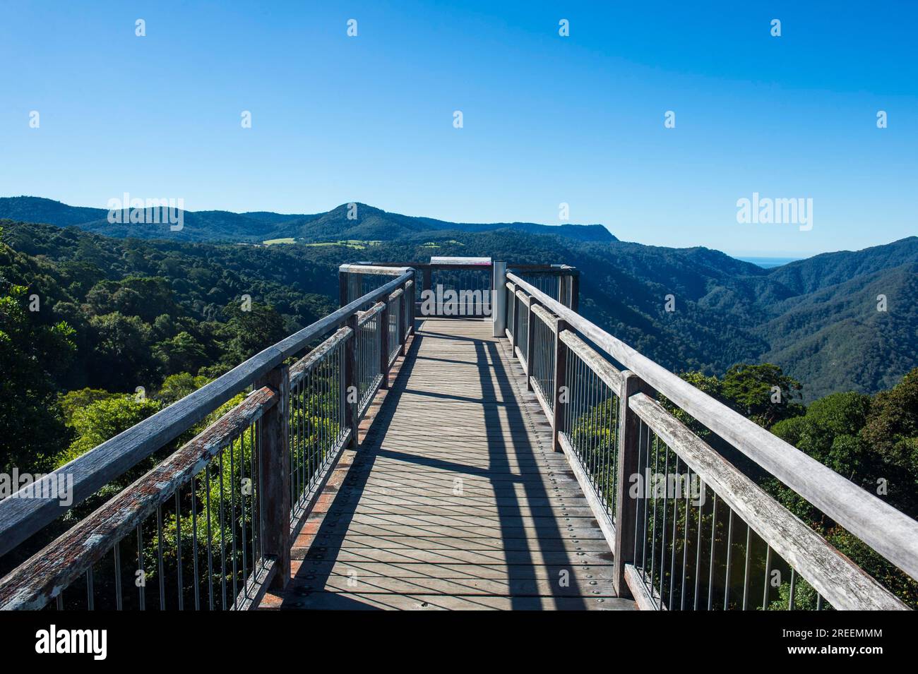 Aussichtsplattform im UNESCO-Weltkulturerbe Dorrigo-Nationalpark, New South Wales, Australien Stockfoto