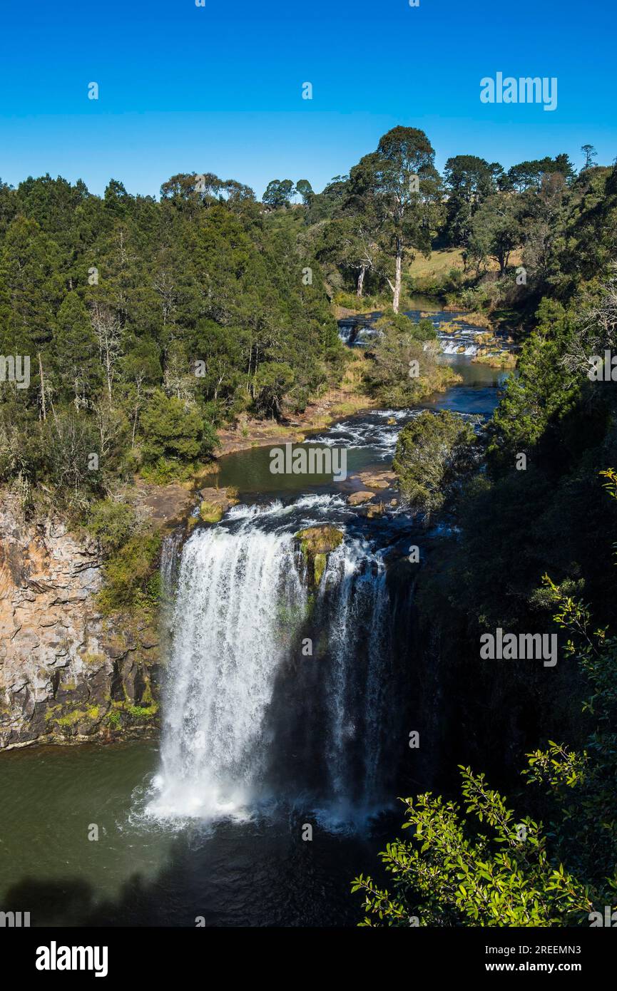 Dangar Falls, UNESCO-Weltkulturerbe Dorrigo-Nationalpark, New South Wales, Australien Stockfoto