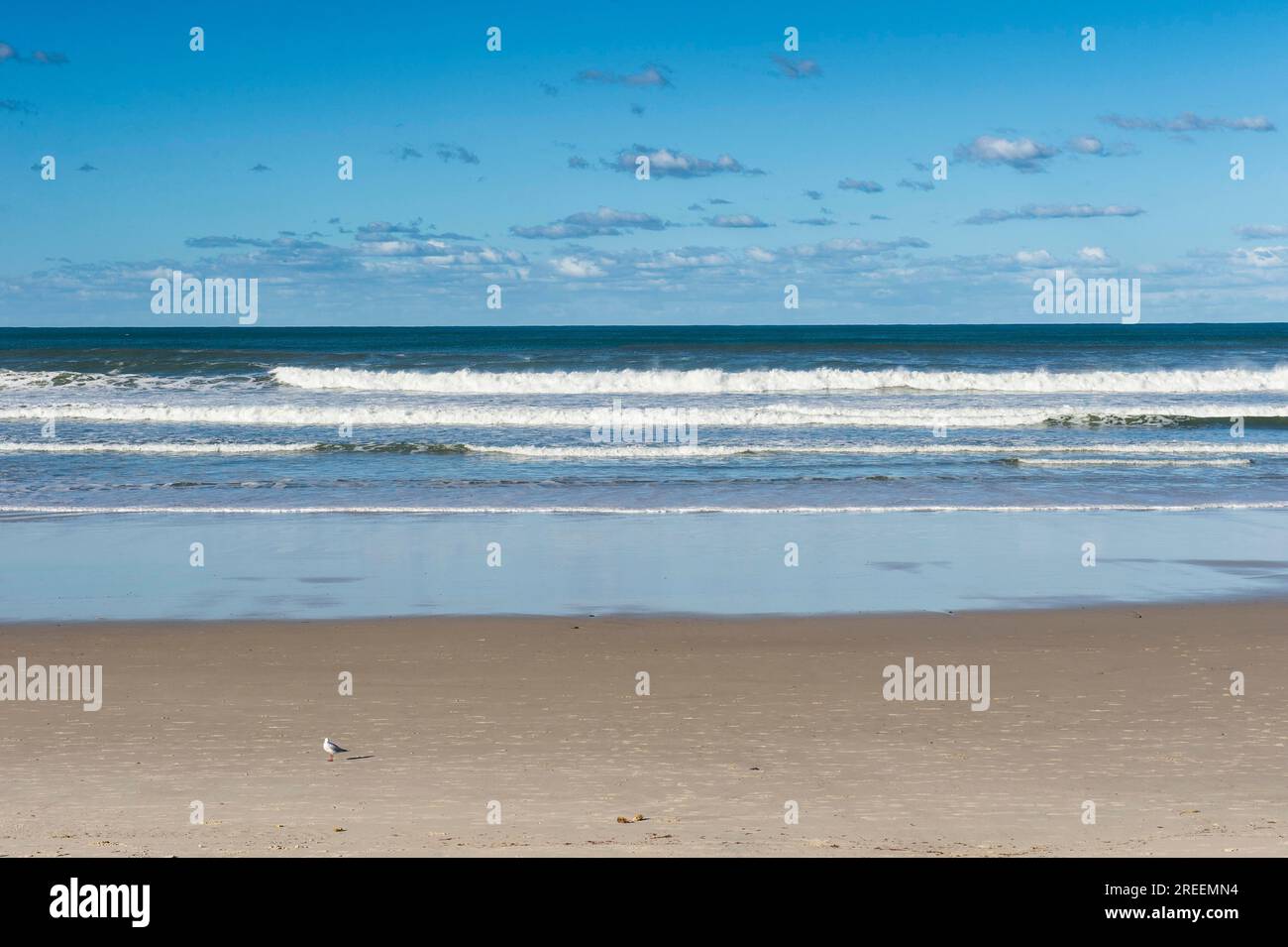 Langer Sandstrand in Lennox Head, Byron Bay, Queensland, Australien Stockfoto