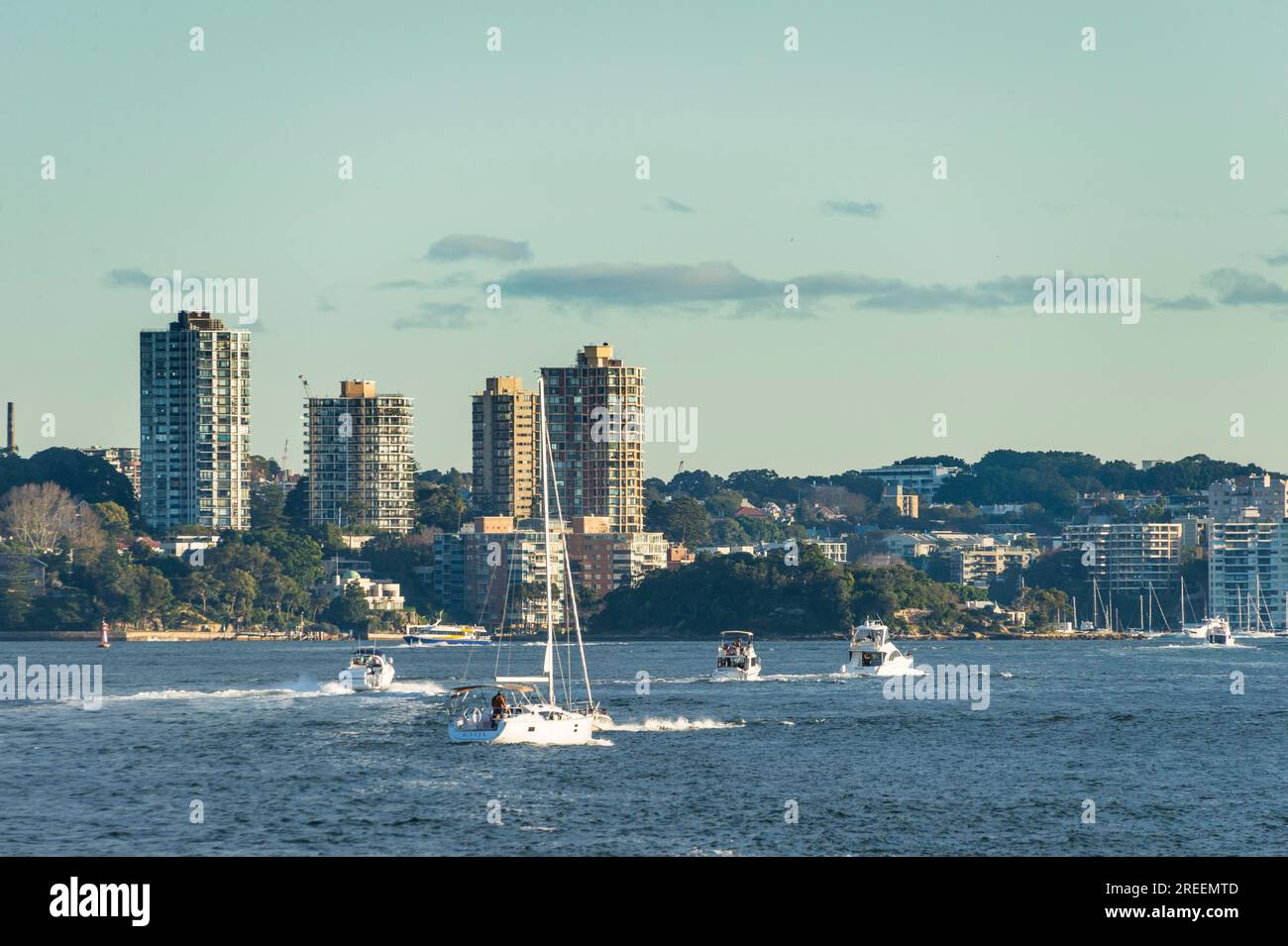 Segelboote vor dem Bezirk Vaucluse, Sydney, New South Wales, Australien Stockfoto