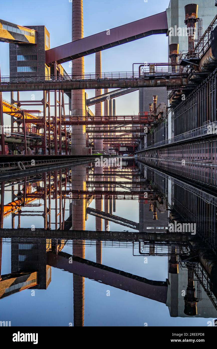 Kokerei Zollverein in der Zollverein-Grube, Förderbandbrücken, Schornsteine, Kokereibatterien, die sich im Regenwasser, das sich angesammelt hat, spiegeln Stockfoto