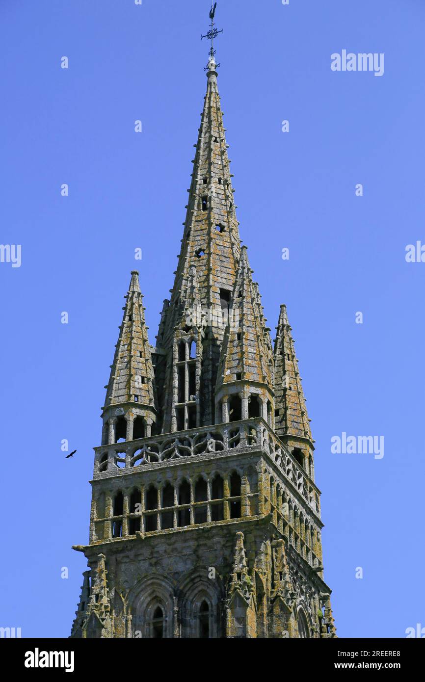 Gotische Basilika Notre Dame du Folgoet, Le Folgoet, Departement Finistere Penn-ar-Bed, Region Bretagne Breizh, Frankreich Stockfoto
