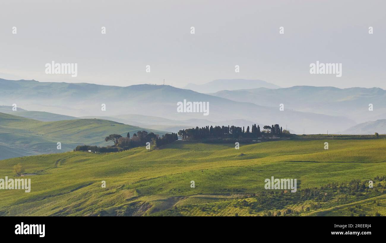 Nebel, Hügel, grüne Wiesen, kleine Wälder, Madonie-Nationalpark, Frühling, Sizilien, Italien Stockfoto