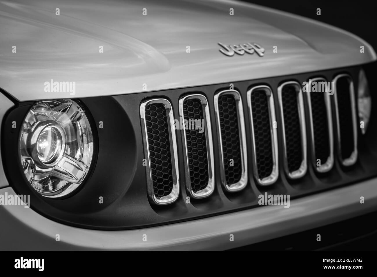 Vorderseite des Autos Jeep, Kies, Natur, Coulds, Silber, Werbung, Bäume Stockfoto