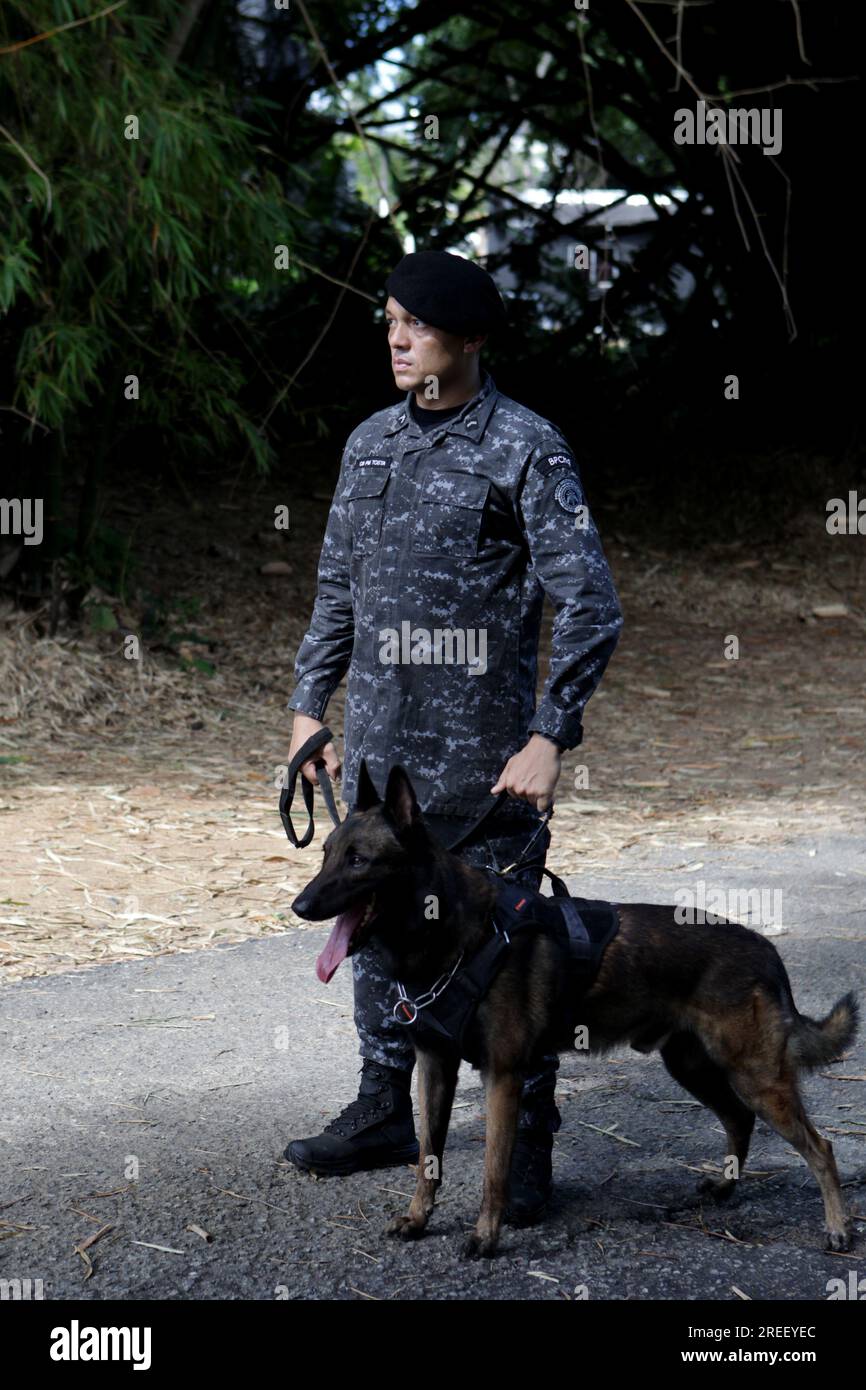 salvador, bahia, brasilien - 5. Mai 2023: Hundeausbildung für Polizeiarbeit durch die Militärpolizei Bahia. Stockfoto