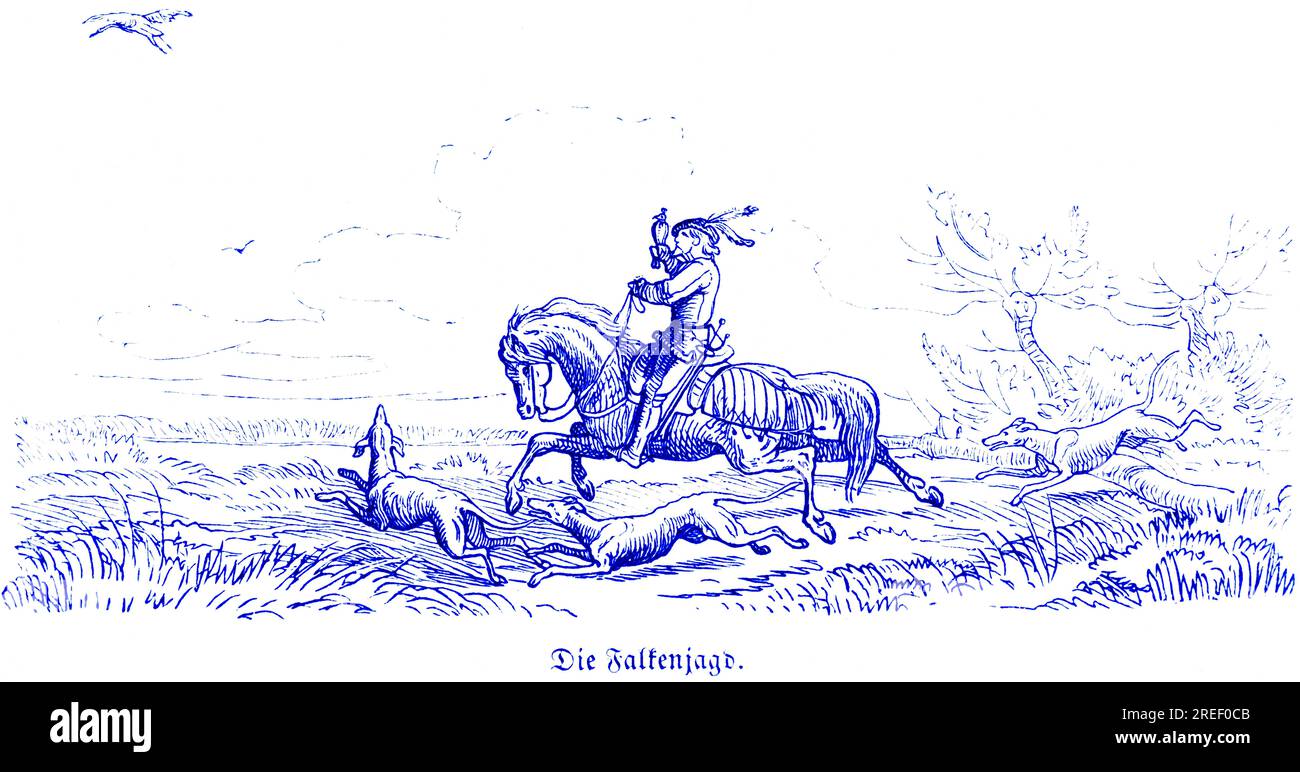 Falknerei, Hubertusjagd und Jagdszenen, wilde Tiere, Falke, Falknerei, Pferd, Reiter, Hunde, Landschaft, Galopp, historische Illustration Stockfoto