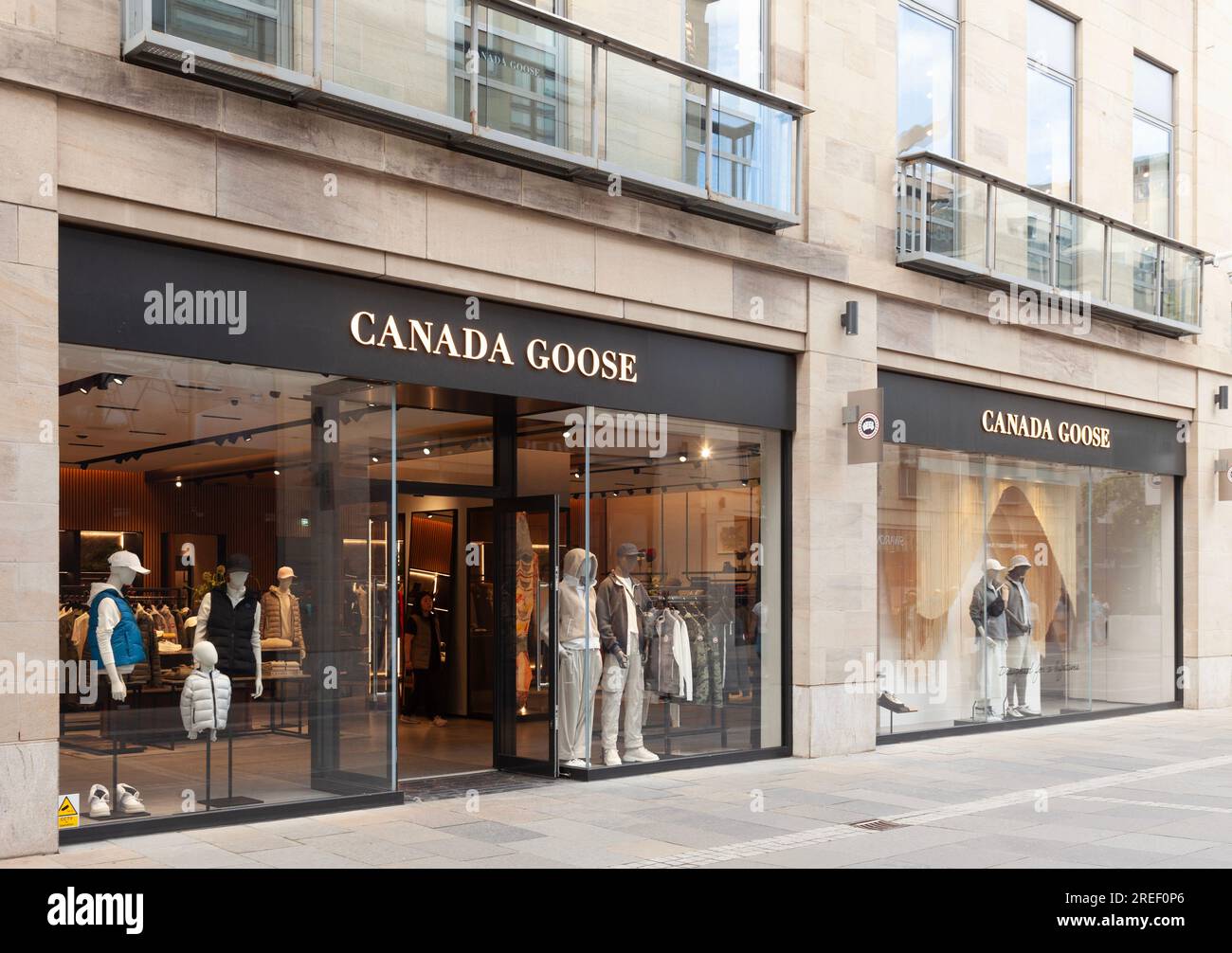 Kanada gans schaufenster Fotos und Bildmaterial in hoher Auflösung