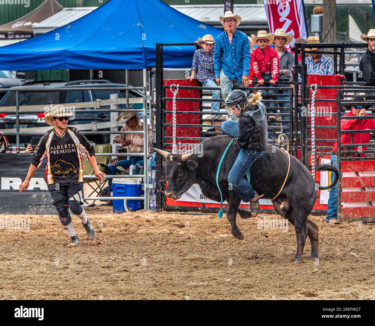 Amerikanisches Rodeo, das heute im Westen der USA und Kanada besonders beliebt ist. Aus der Arbeit mit Rindern. Stockfoto