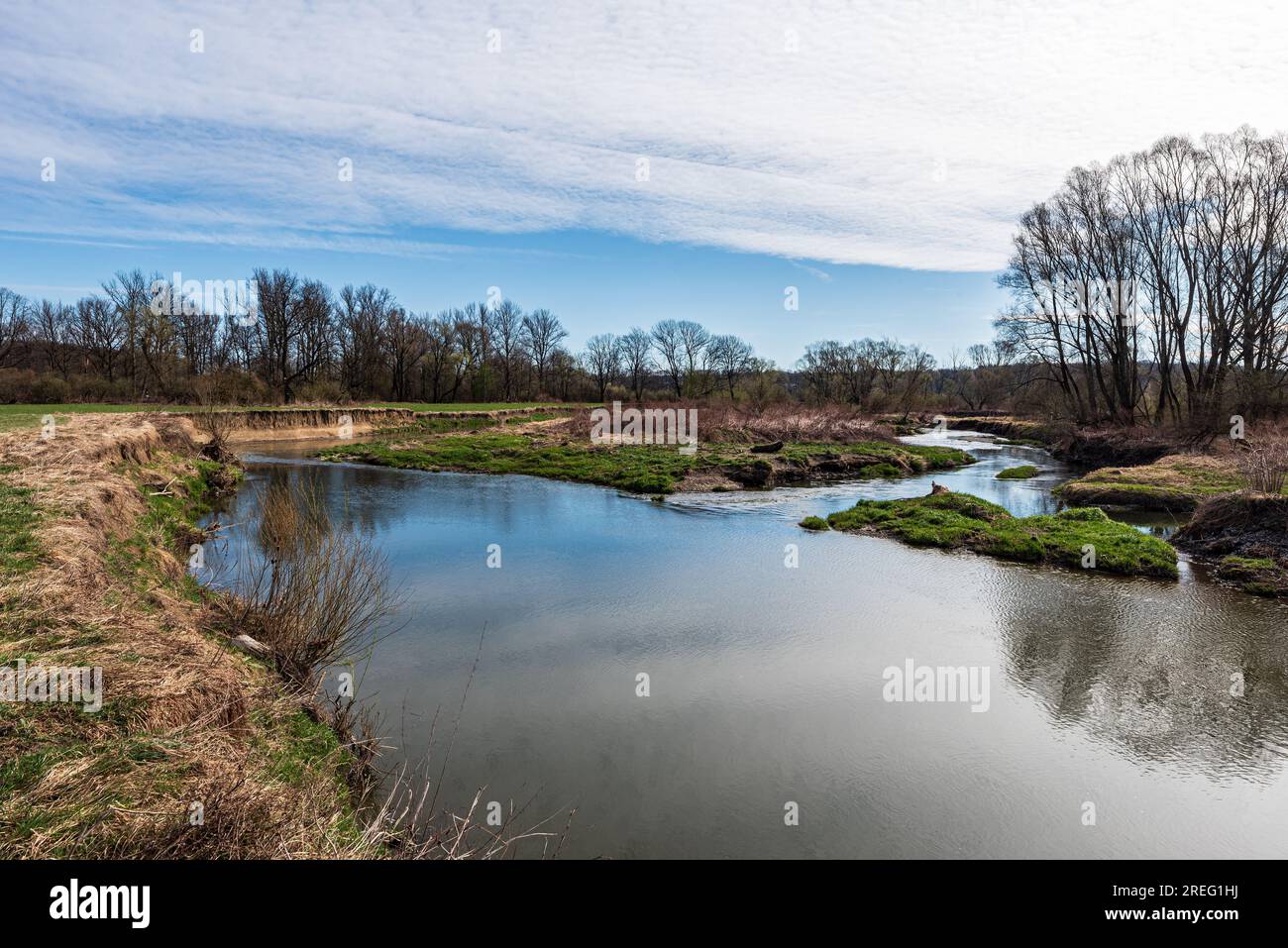 Schönes CHKO Poofri in der tschechischen republik - Mündung des Ondrejnice Flusses zum Odra Fluss im frühen Frühling Stockfoto