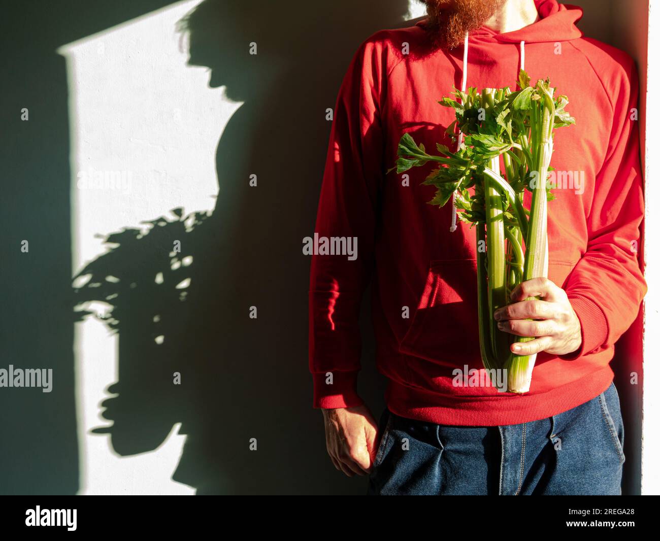 Ein bärtiger Mann in roter Kapuze hält frischen grünen Sellerie in der Hand, rauer Schatten. Gemüsesammlung gesunder Lebensstil Rohpflanzen vegane Lebensmittel Lebensmittel einkaufen Stockfoto