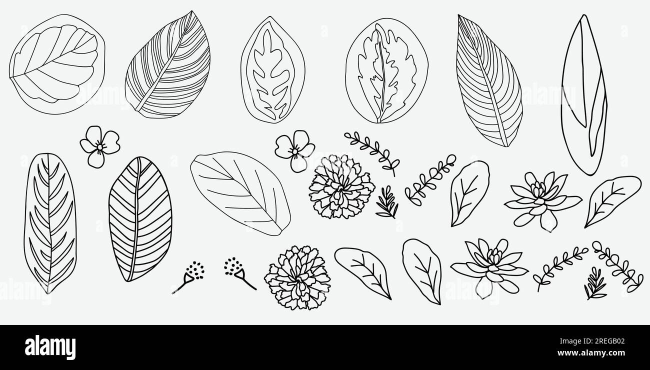 Abbildung: Blumen und Blätter auf weißem Hintergrund. Vektordarstellung. Stock Vektor