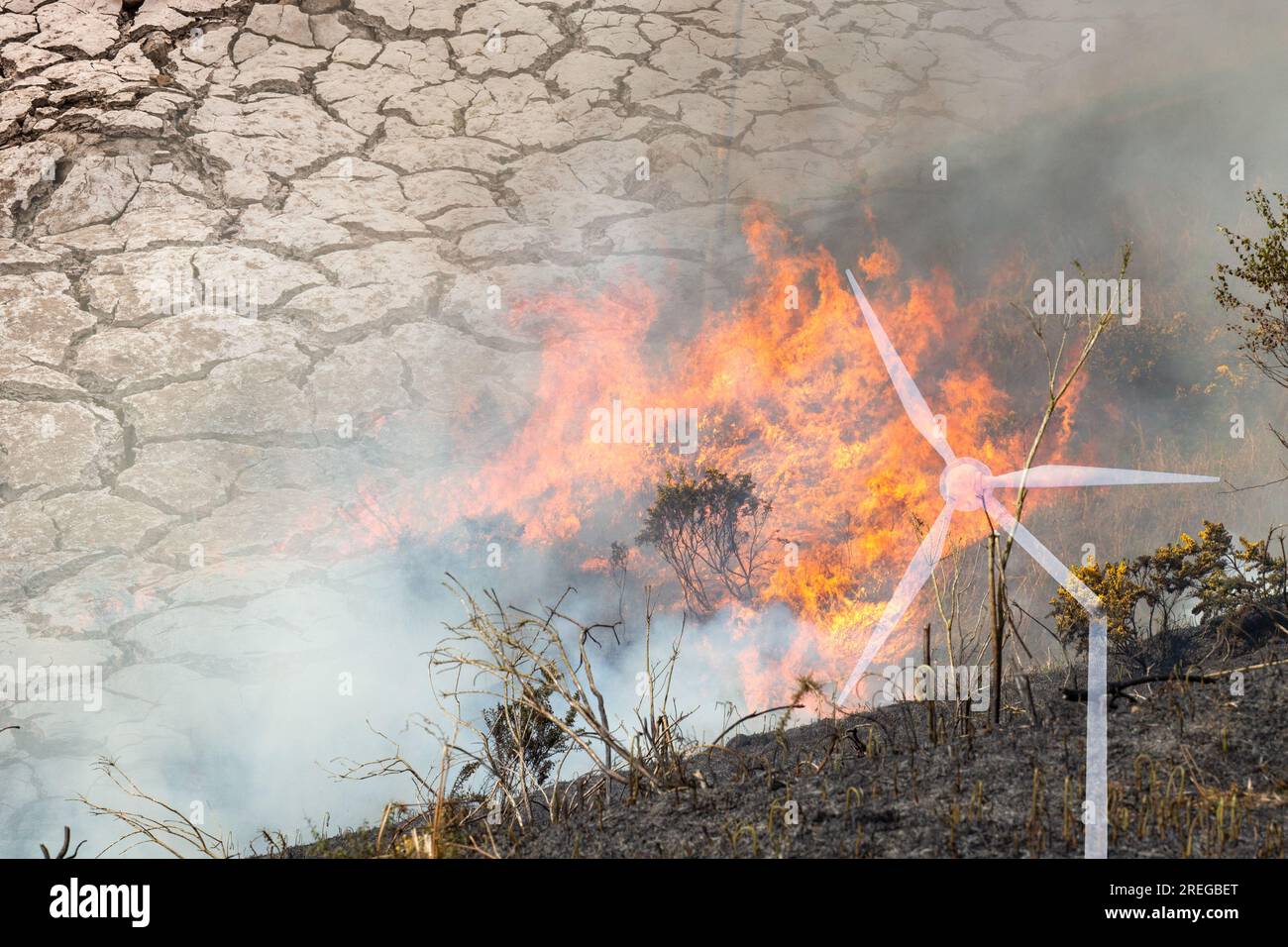 Globale Erwärmung, globale Verkostung, Klimawandel, Krise, Waldbrände, Hitzewelle, erneuerbare Energie... Konzept Stockfoto