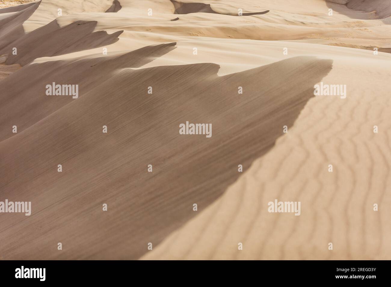 Hellgoldene Sanddünen, windige Kammlinie im colorado-Nationalpark Stockfoto