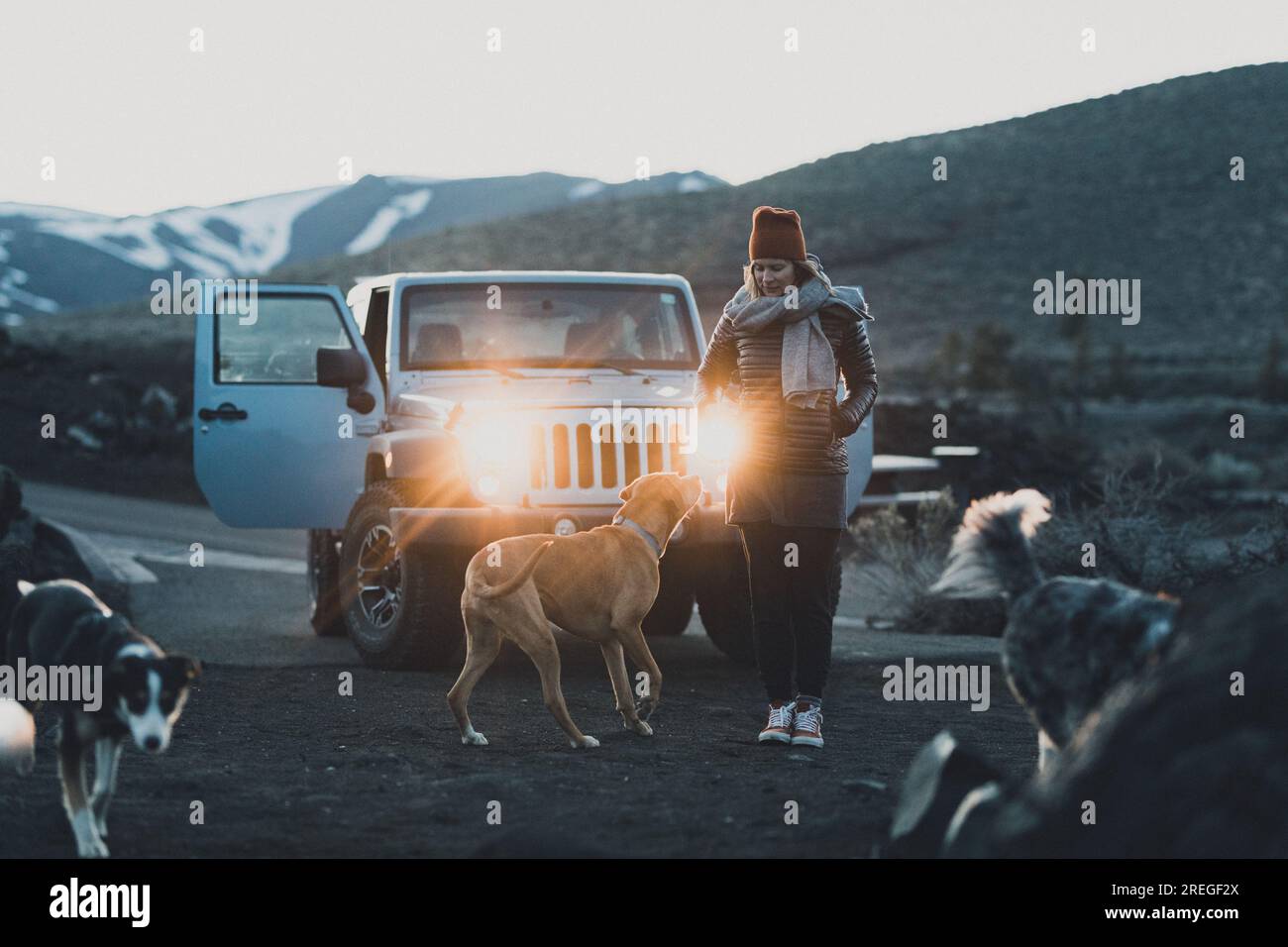 Frauen lassen ihre Hunde auf einer langen Reise aus dem Auto Stockfoto