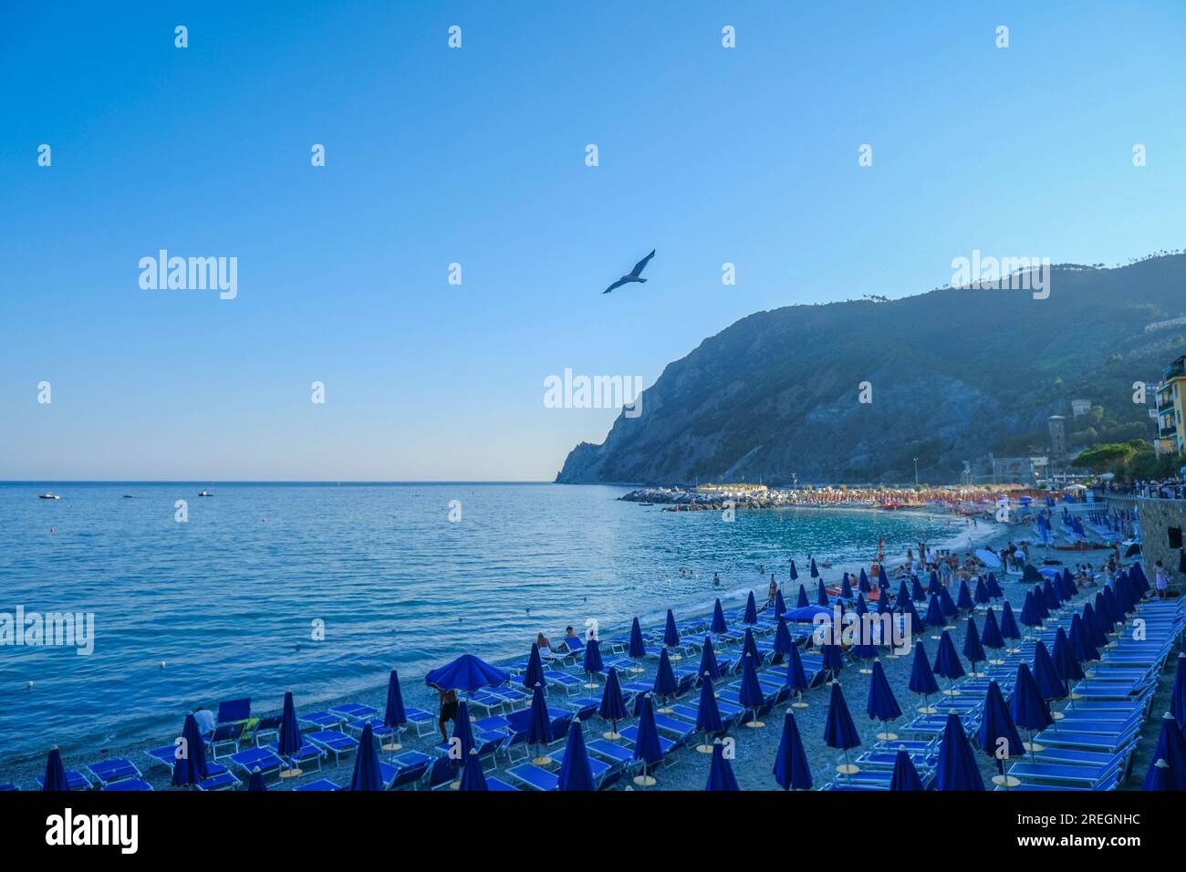 Blaue Liegestühle und Sonnenschirme am Strand von Monterosso, Cinque Terre, Ligurisches Meer, Ligurien, Italien, Italienische Riviera Stockfoto