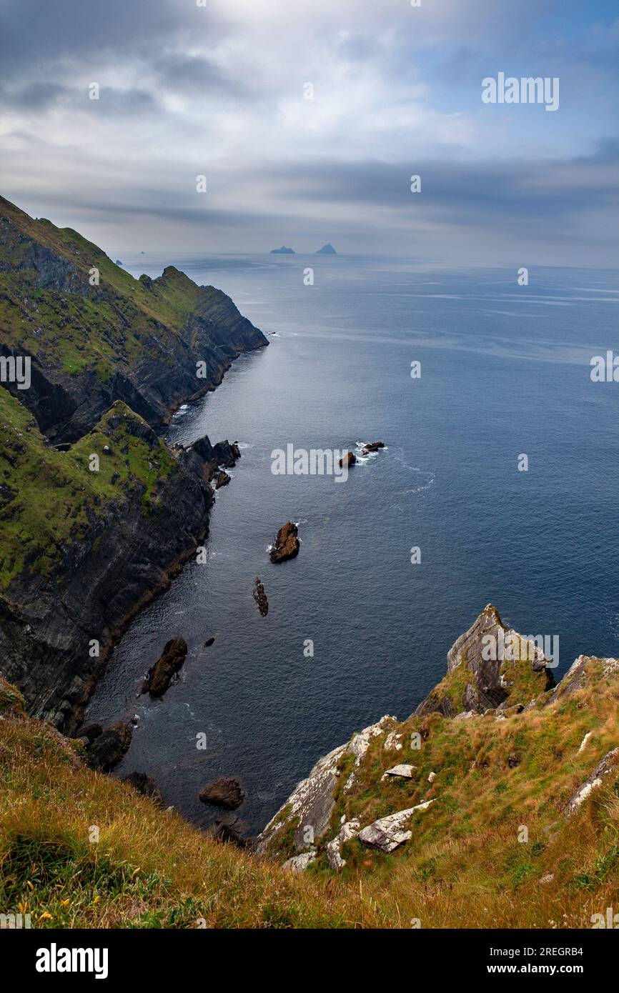 Blick auf die Skelligs vom Aussichtspunkt Portmagee Skelligs Cliff, County Kerry, Irland. Stockfoto