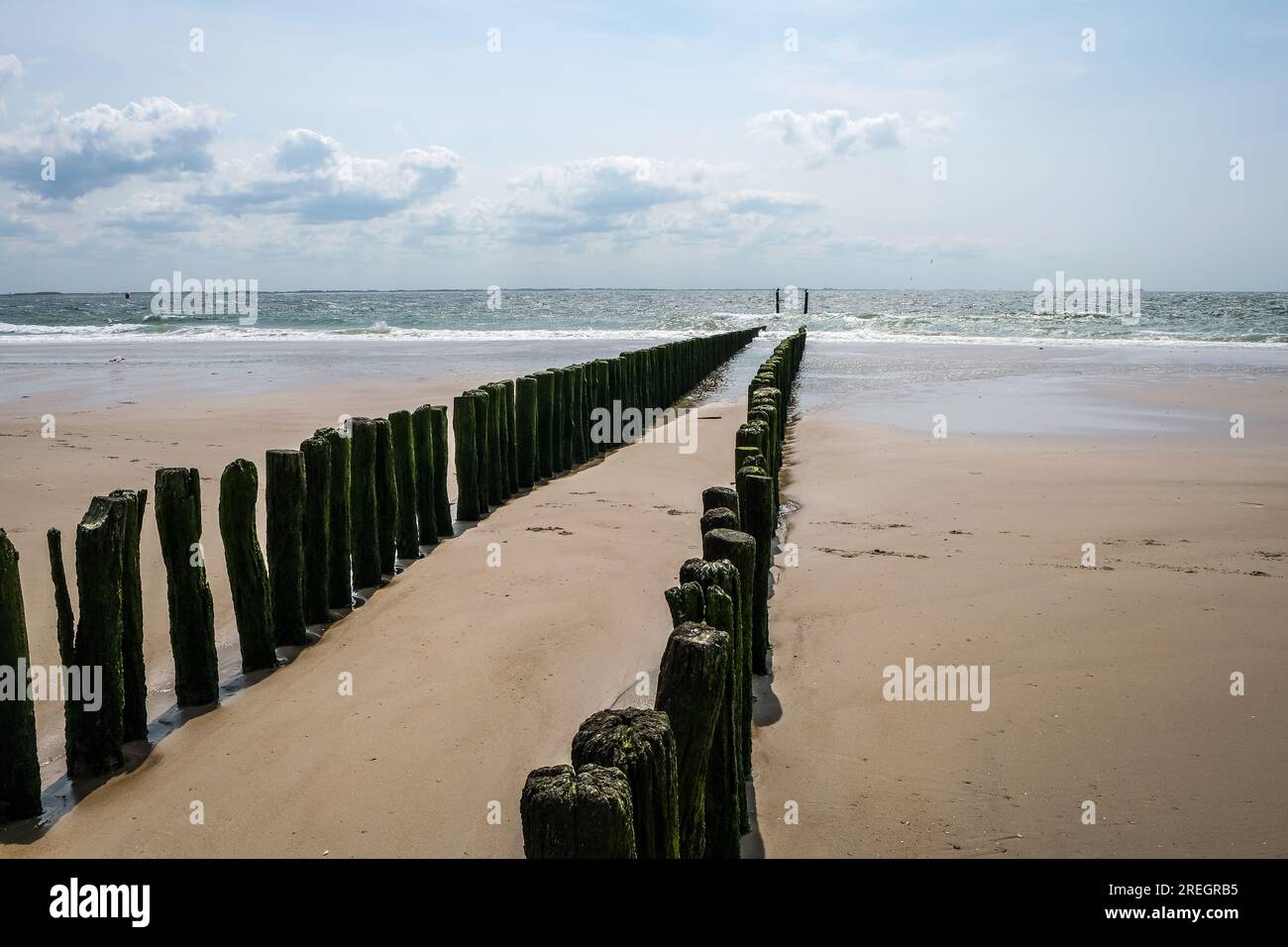 Vlissingen, Neuseeland, Niederlande - Sandstrand mit hölzernen Wellenbrechern, Hafenstadt an der Südküste der Halbinsel Walcheren in der niederländischen Provinz Stockfoto