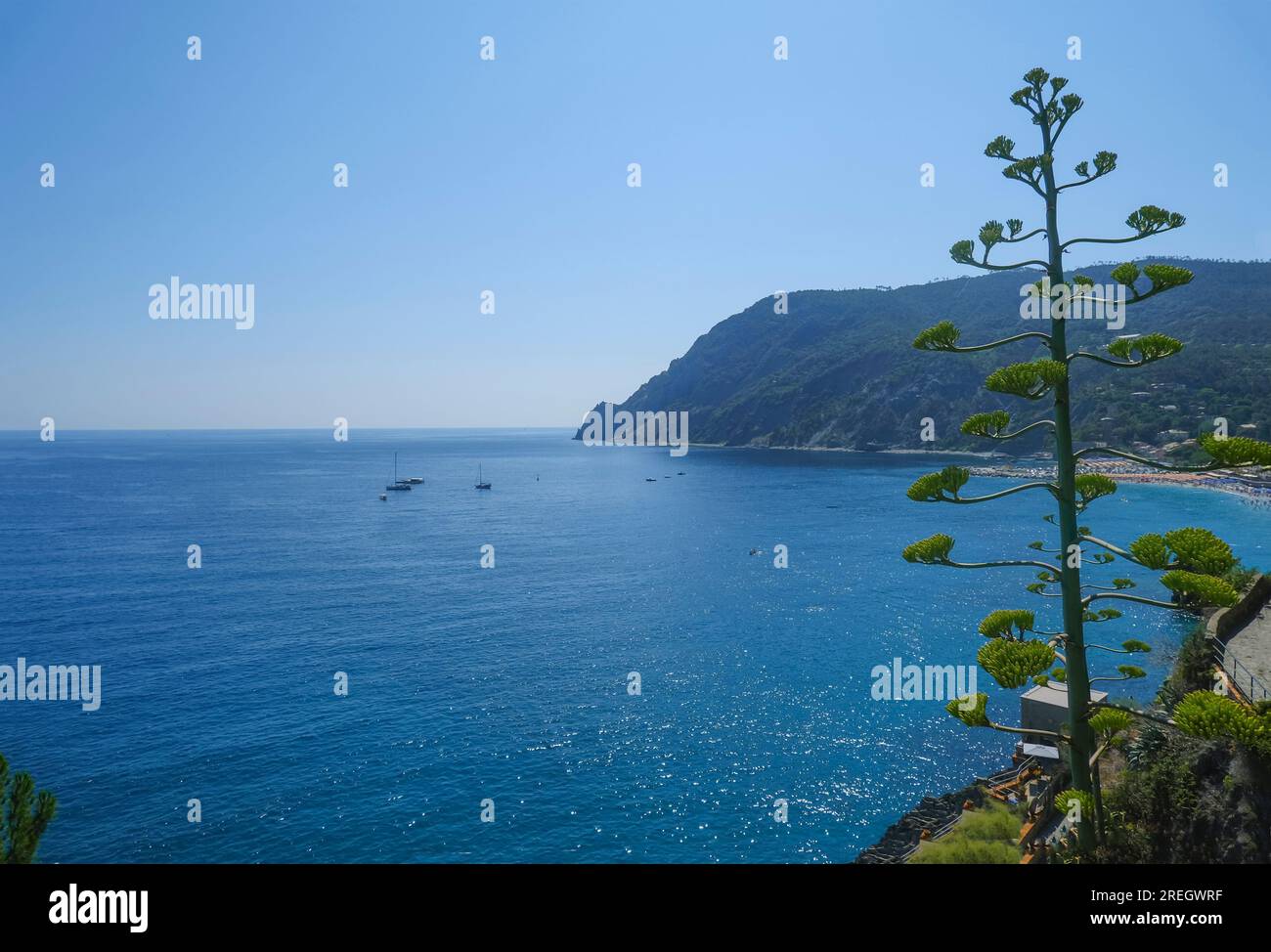 Luftaufnahme des ligurischen Meeres mit Booten, Yachten und Klippen in Monterosso Al Mare, Ligurien, Italien Stockfoto
