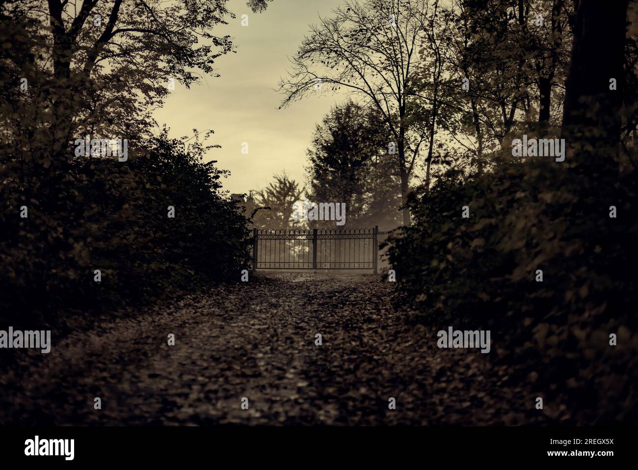 Tor in verlassener Lage in Nebel dunkler Stimmung Stockfoto