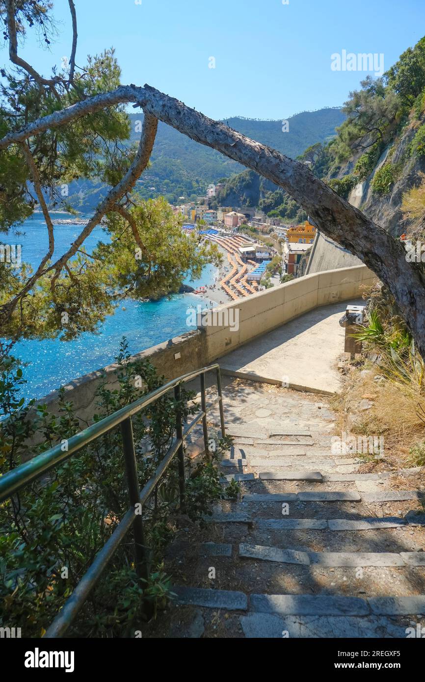 Pfad über die Kiefern und unvergleichlicher Blick auf den Strand von Monterosso, Ligurien, Italien Stockfoto