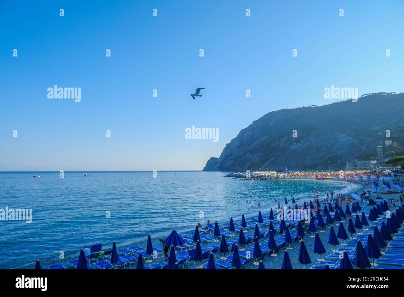 Blaue Liegestühle und Sonnenschirme am Strand von Monterosso, Cinque Terre, Ligurisches Meer, Ligurien, Italien, Italienische Riviera Stockfoto