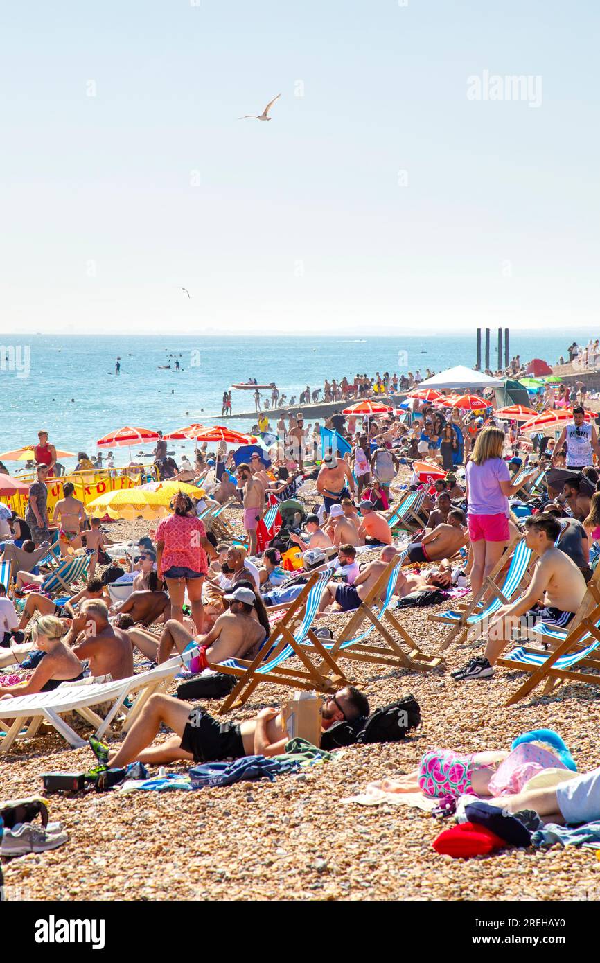 Leute, die an einem heißen Sommertag am Strand sitzen, mit Brighton Palace Pier im Hintergrund, Brighton, Großbritannien Stockfoto