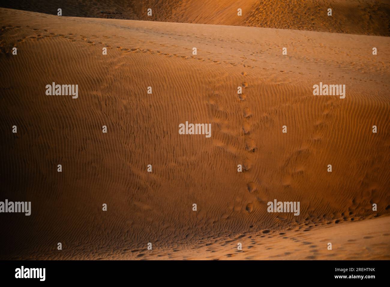 Fußabdrücke auf einer Düne in der Wüste Afrikas. Stockfoto