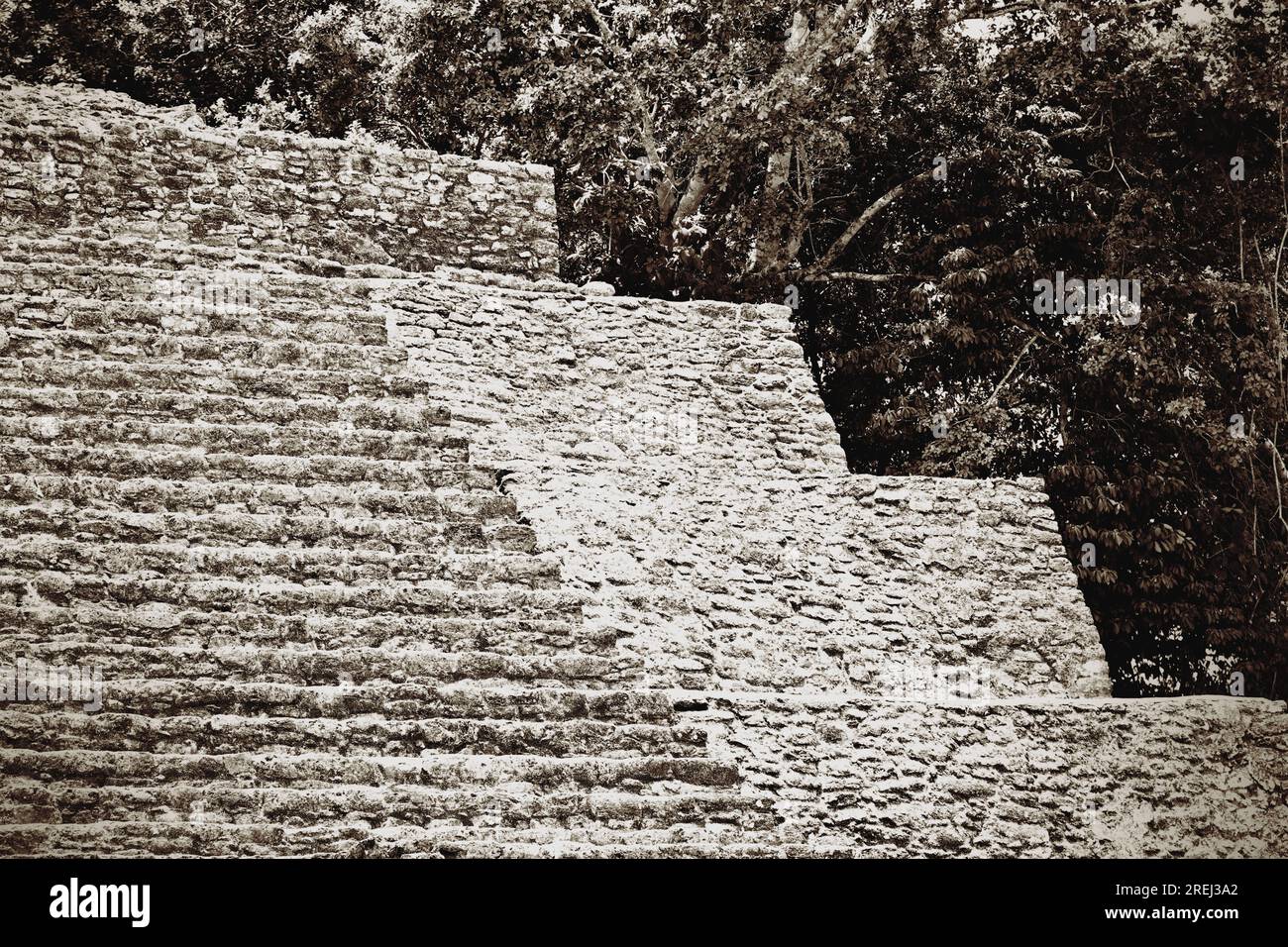 Lamanai Maya Ruinen, Belize Stockfoto