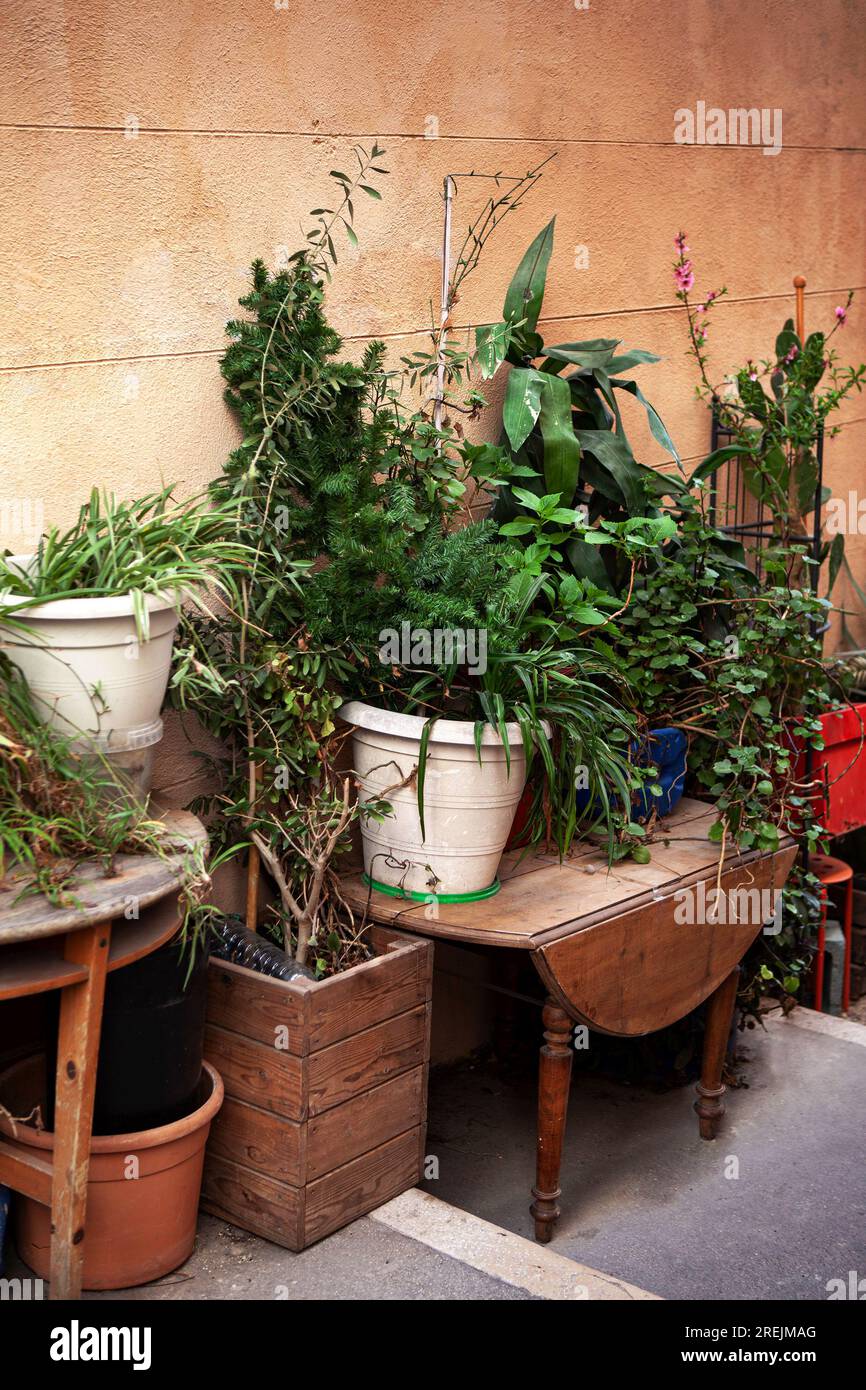 Pflanzen und gebrauchte Möbel auf der Straße Stockfoto