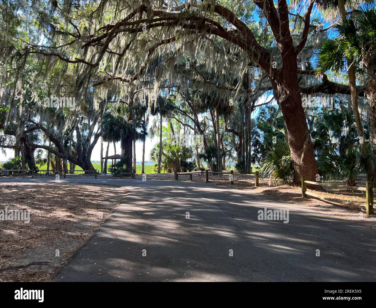 Der Weg zum See im Trimble Park in Mount Dora, Florida an einem sonnigen Tag. Stockfoto