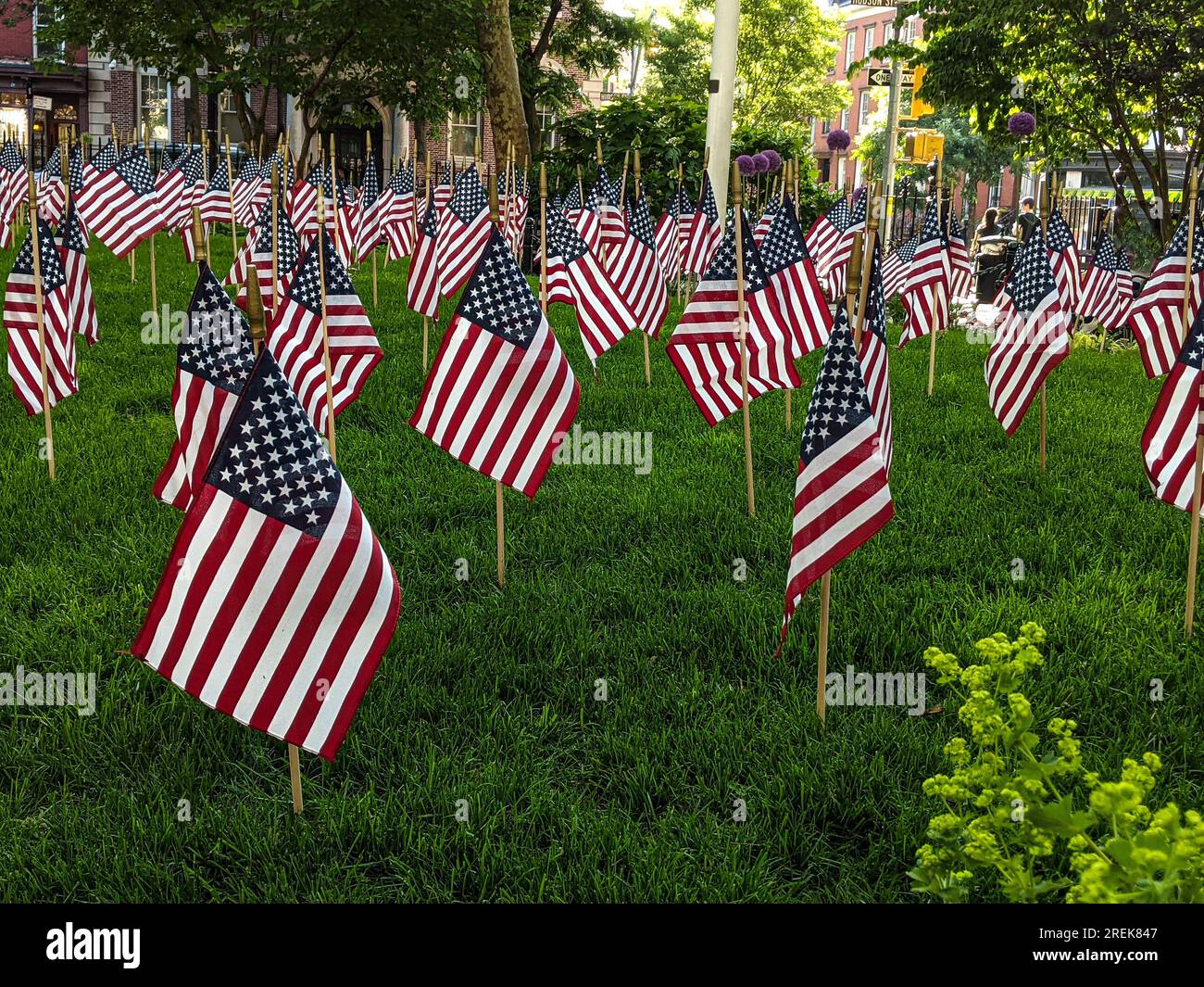 Patriotische Flaggen der Vereinigten Staaten von Amerika, die einen der wichtigsten Tage in der amerikanischen Geschichte feiern. Viele Flaggen auf dem Rasen im Freien Stockfoto