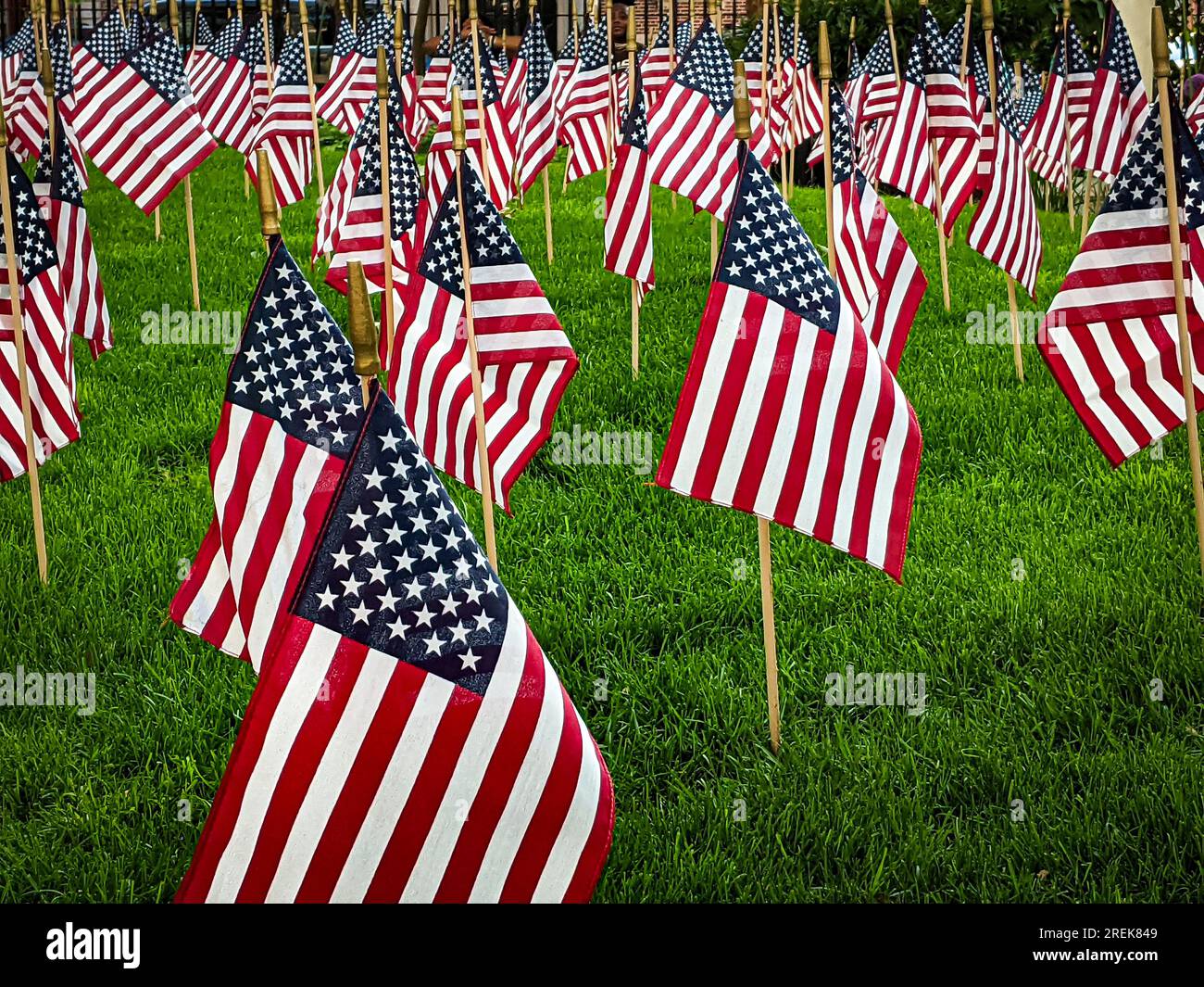 Patriotische Flaggen der Vereinigten Staaten von Amerika, die einen der wichtigsten Tage in der amerikanischen Geschichte feiern. Viele Flaggen auf dem Rasen im Freien Stockfoto