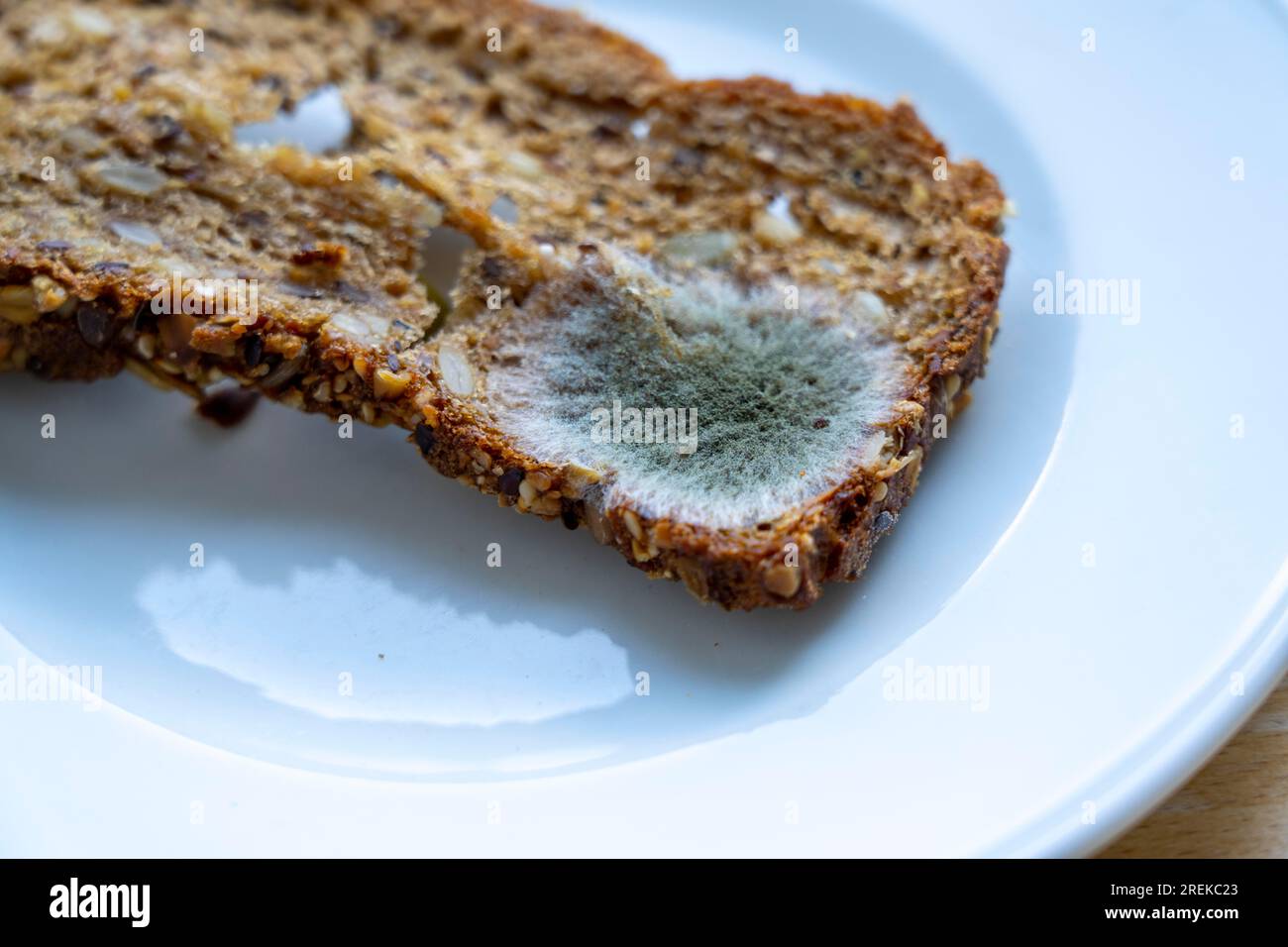 Schimmel auf einer Scheibe Mehrkornbrot, schimmelig, Stockfoto