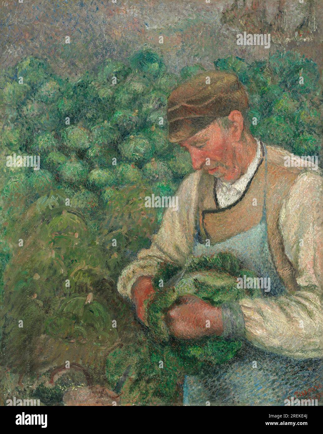 Titel: Der Gärtner - Alte Gemüsepflanze mit Kohl Schöpfer: Camille Pissarro Datum: 1883-1895 Inhalt: Ein Porträt eines älteren Bauern, der sich um einen Kohlkopf kümmert. Der Mann trägt ein einfaches Bauernkostüm und hält eine Hure in den Händen. Der Hintergrund des Gemäldes ist ein Kohlfeld. Abmessungen: 81,5 x 65 cm (32 1/16 x 25 9/16 Zoll) Medium: Öl auf Leinwand Ort: National Gallery of Art, Washington, D.C. Stockfoto