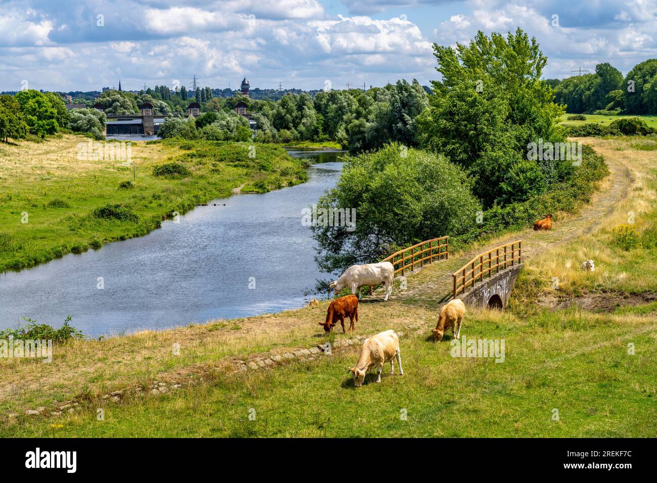 Styrumer ruhrauen Fotos und Bildmaterial in hoher Auflösung Alamy